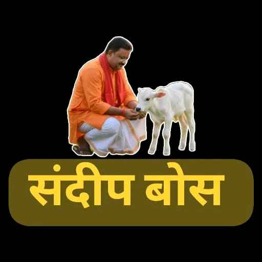 संदीप बोस